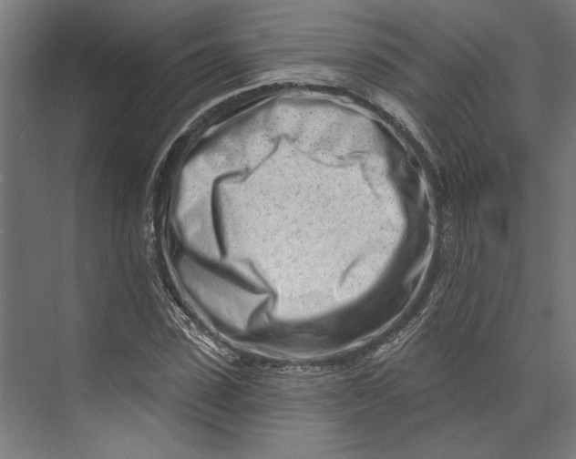 X0000073710923200608241439