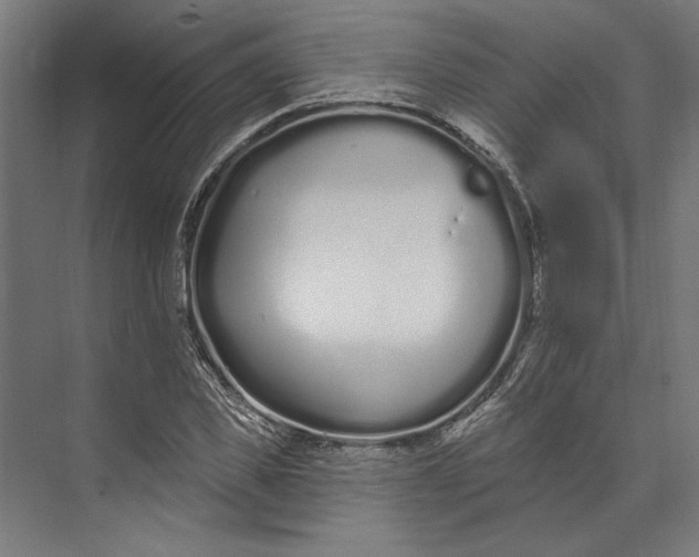 X0000073710925200608241439