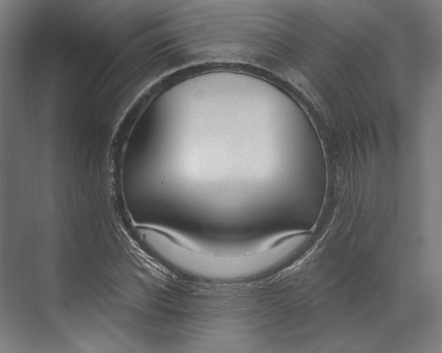 X0000073710926200608241439