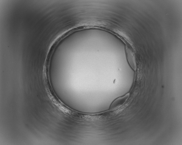 X0000073710928200608241439