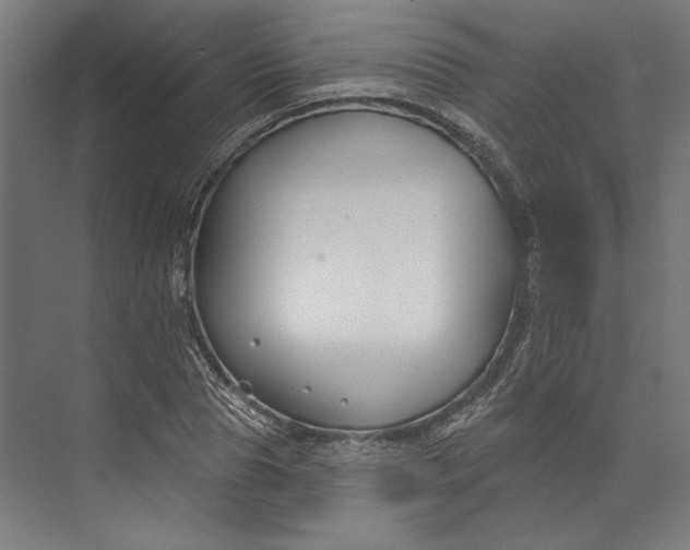 X0000073710929200608241439