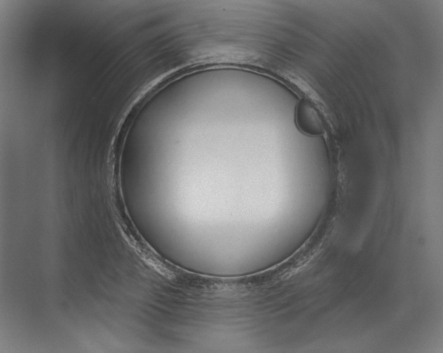 X0000073710933200608241439