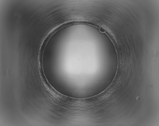 X0000073710935200608241439