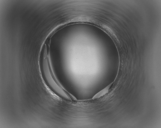 X0000073710942200608241439