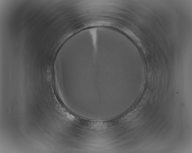 X0000073710945200608241439