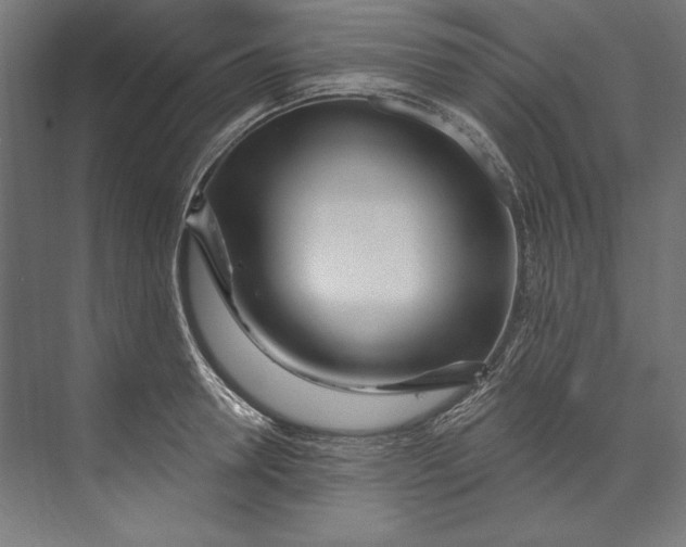 X0000073710946200608241439