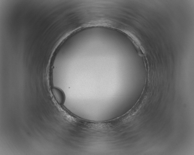 X0000073710949200608241439