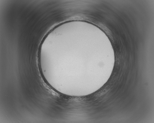 X0000073710950200608241439