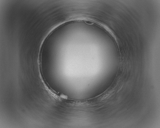 X0000073710951200608241439