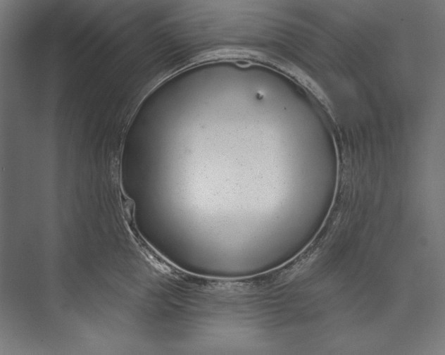 X0000073710953200608241439