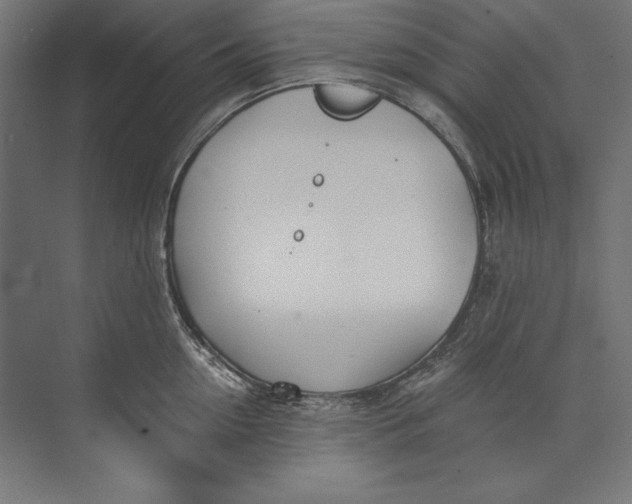 X0000073710954200608241439