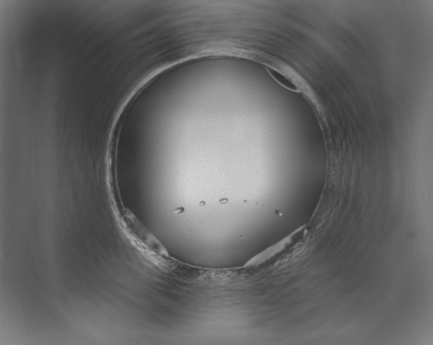 X0000073710955200608241439