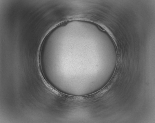 X0000073710957200608241440