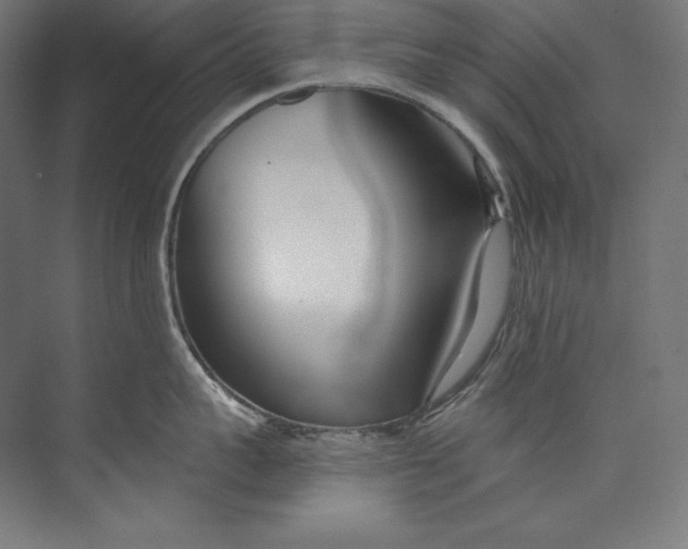 X0000073710959200608241440