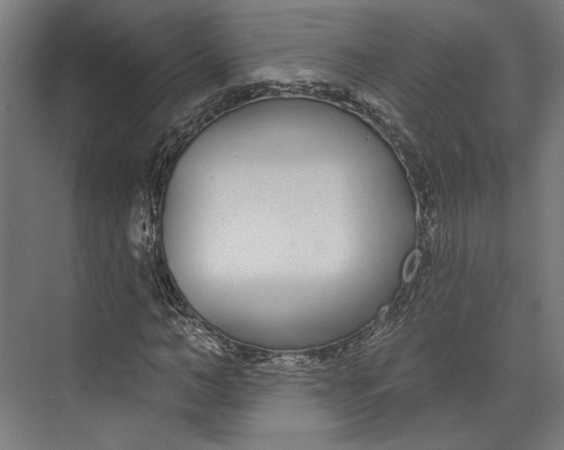 X0000073710966200608241439