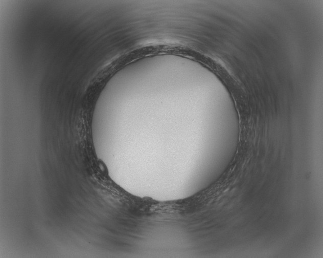 X0000073710967200608241439