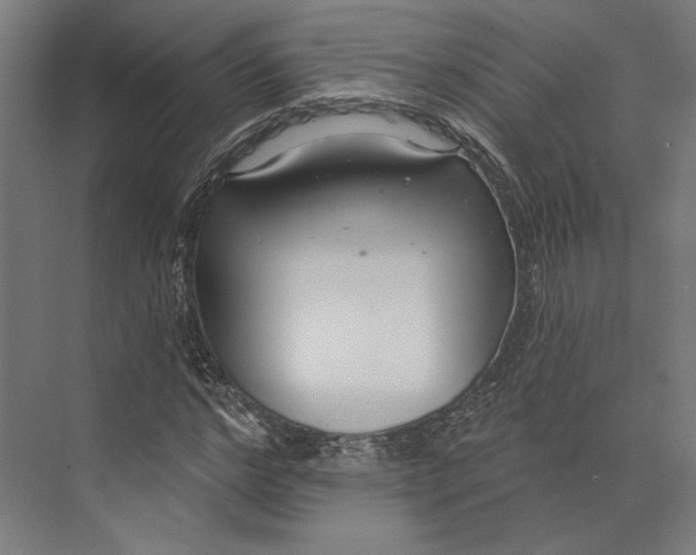 X0000073710968200608241439