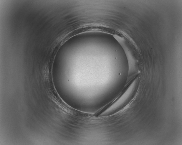 X0000073710969200608241439