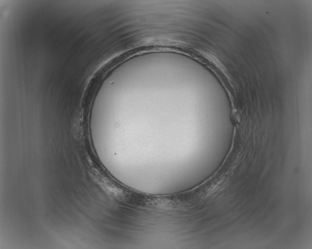 X0000073710971200608241439