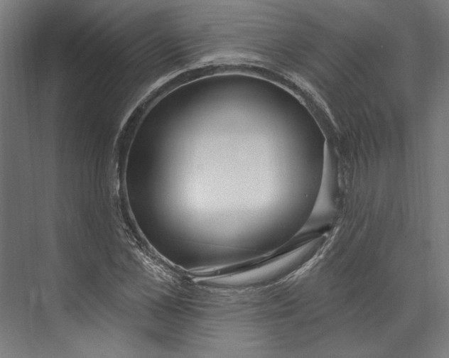 X0000073710973200608241439