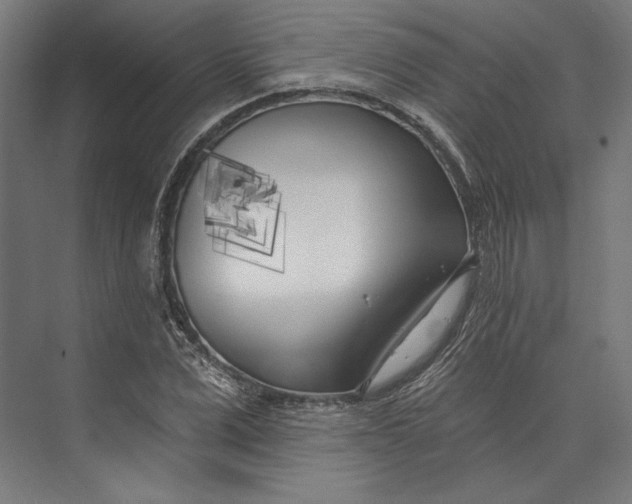 X0000073710975200608241439