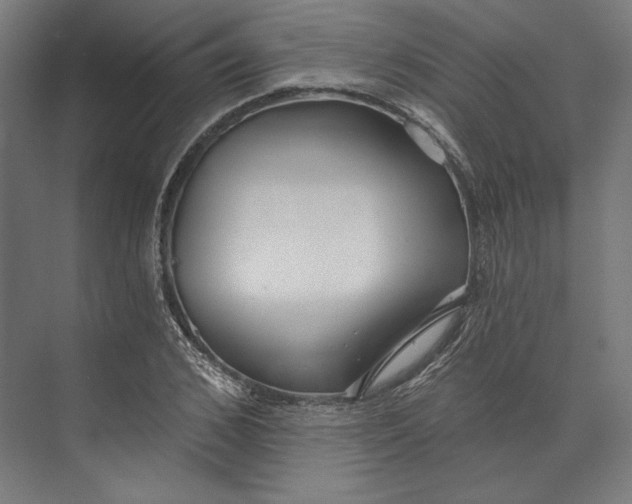 X0000073710976200608241439