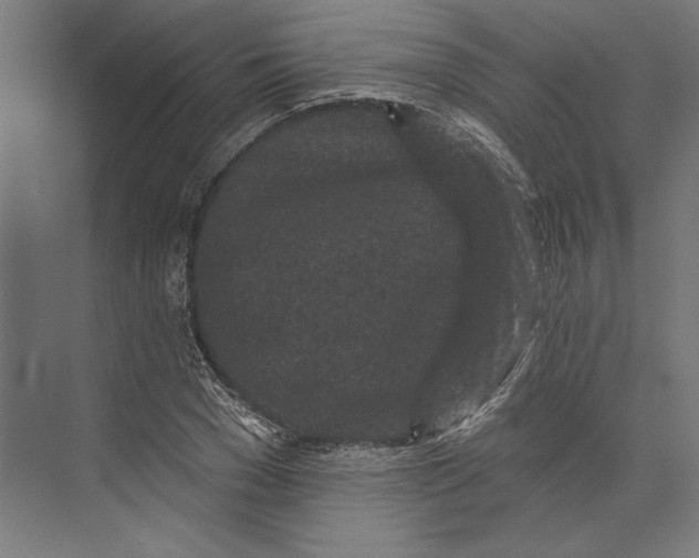 X0000073710977200608241438