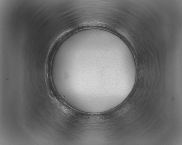 X0000073710979200608241438