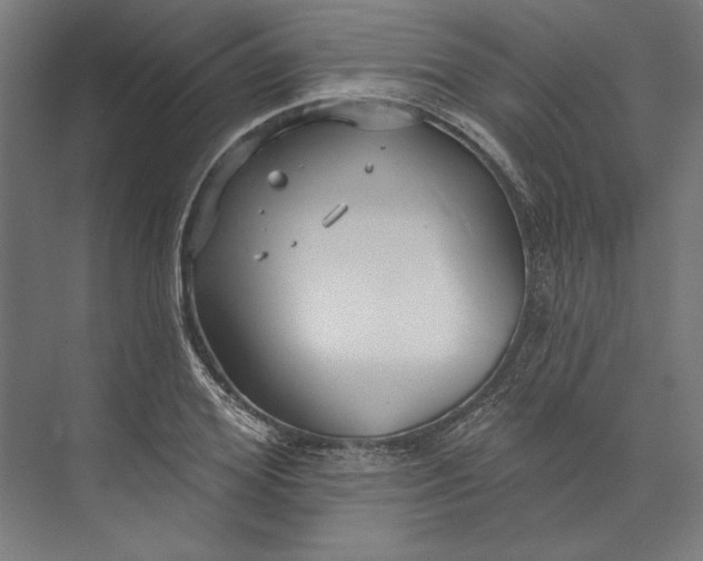 X0000073710980200608241438