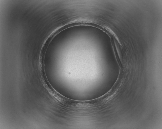 X0000073710981200608241438