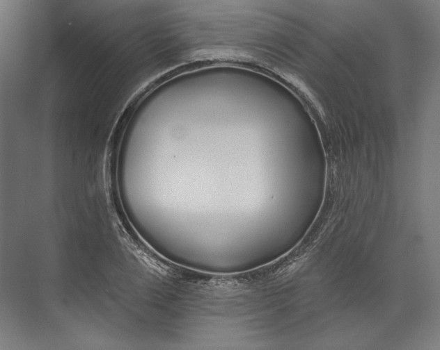 X0000073710983200608241438