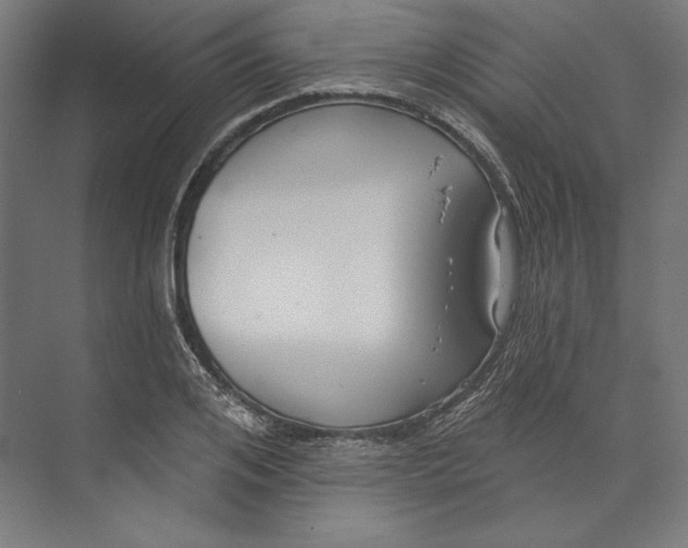 X0000073710984200608241438