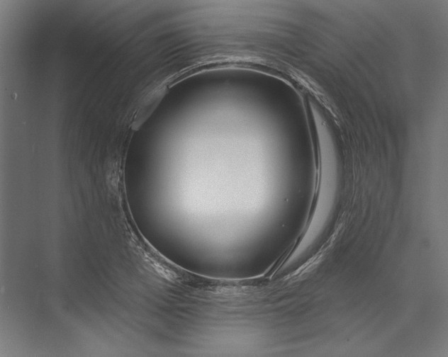 X0000073710985200608241438