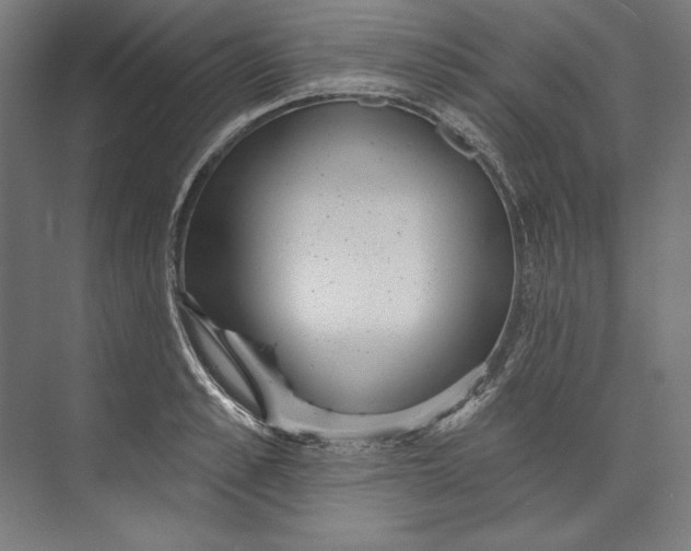 X0000073710989200608241438