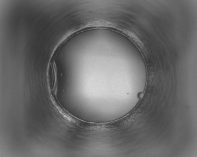 X0000073710990200608241438