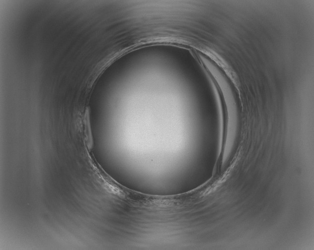 X0000073710993200608241438