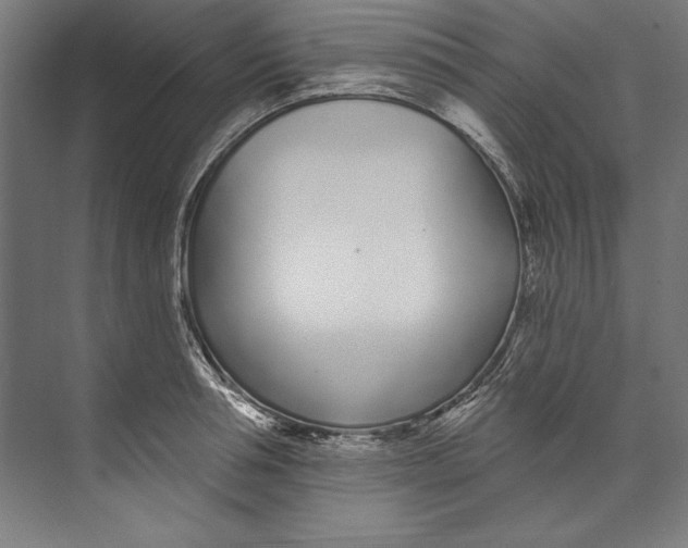 X0000073710994200608241438