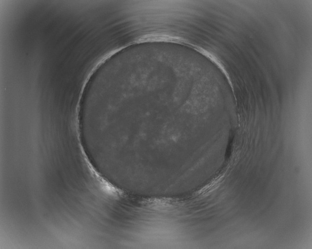 X0000073710995200608241438