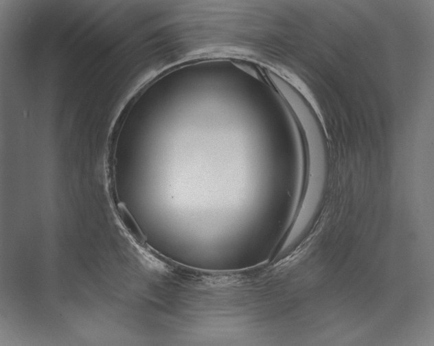 X0000073710997200608241438