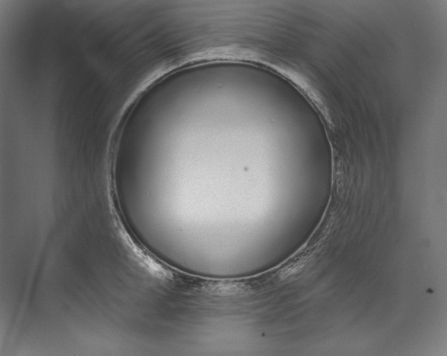 X0000073710998200608241438