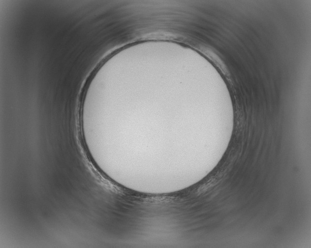 X0000073711000200608241438