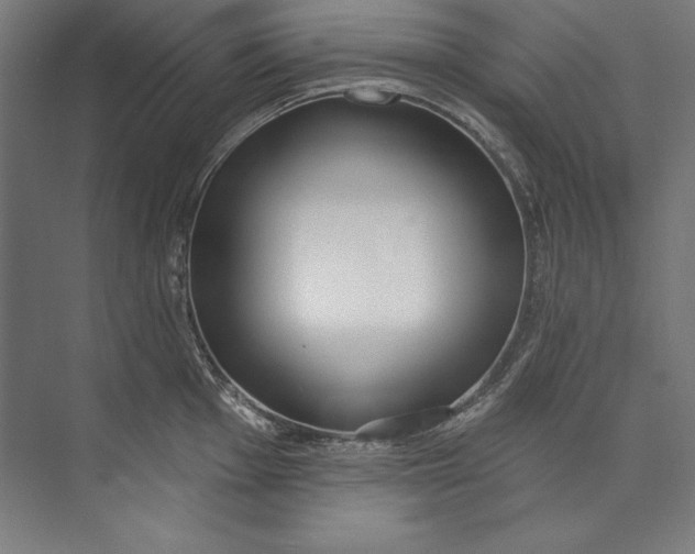 X0000073711001200608241438