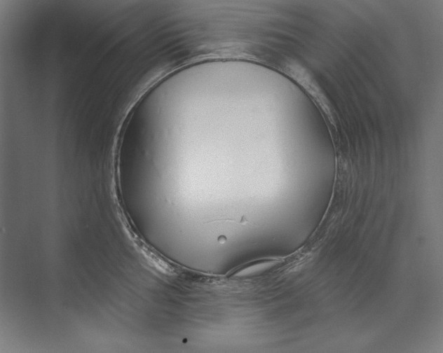 X0000073711002200608241438