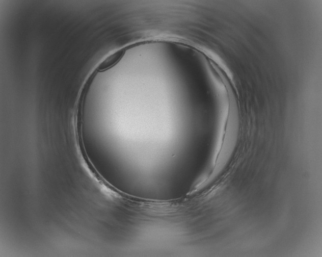 X0000073711007200608241438