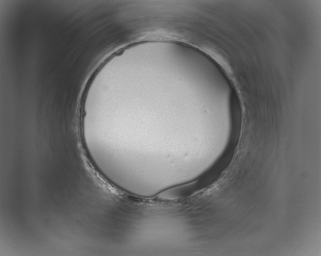 X0000073711008200608241438