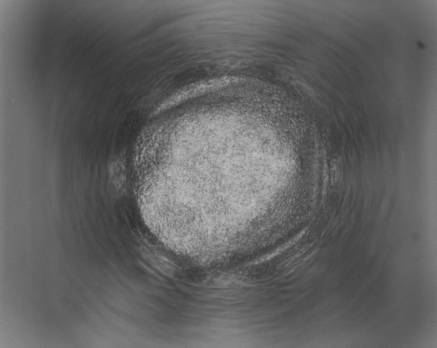 X0000073711011200608241437