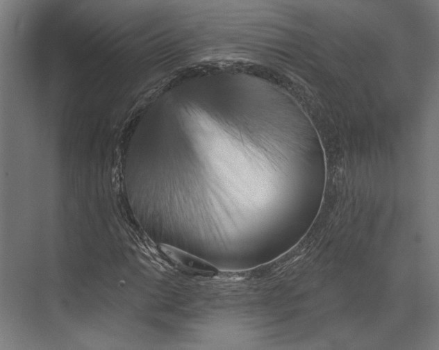 X0000073711014200608241437