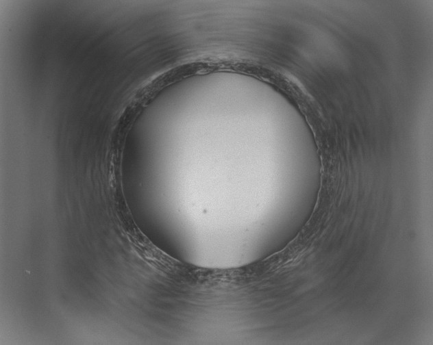 X0000073711016200608241437