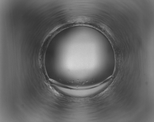 X0000073711018200608241437