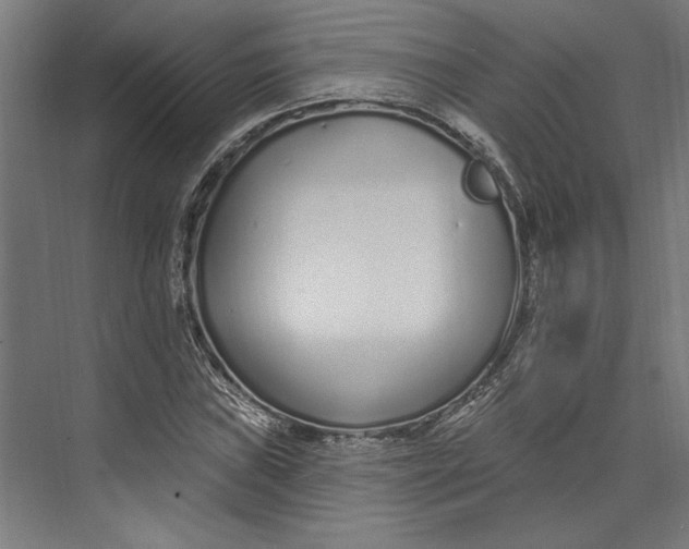 X0000073711019200608241437